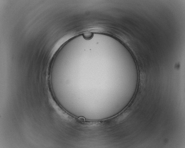 X0000111651426200907311306