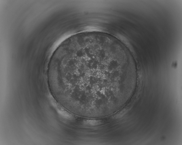 X0000111651427200907311306