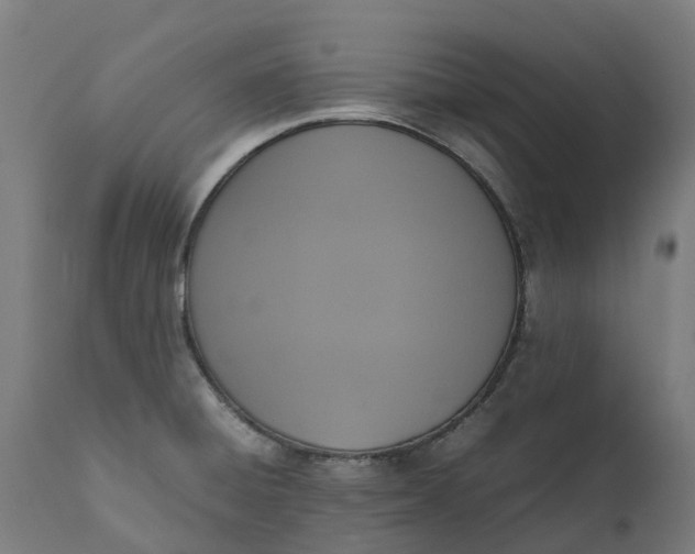 X0000111651428200907311306