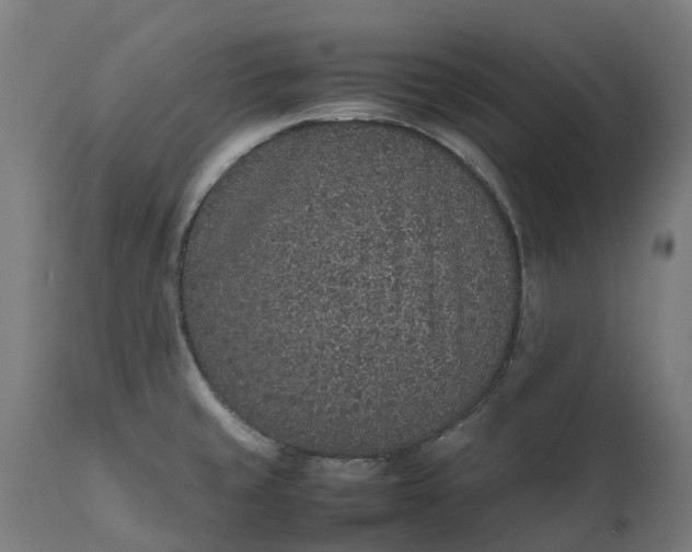 X0000111651429200907311306