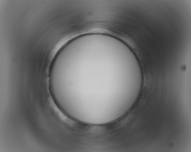 X0000111651430200907311306