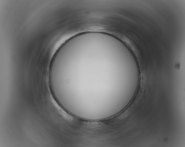 X0000111651432200907311306