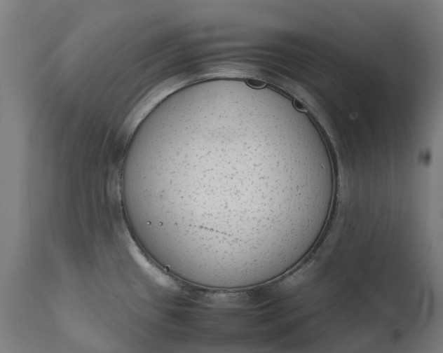 X0000111651433200907311306