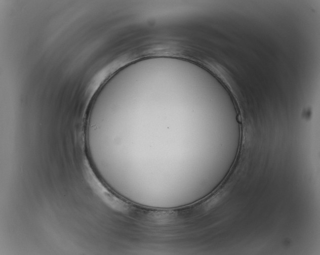X0000111651434200907311306