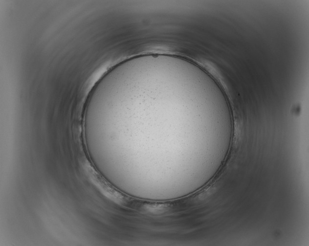 X0000111651435200907311306