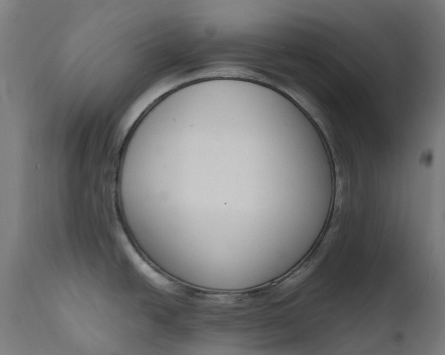 X0000111651438200907311306