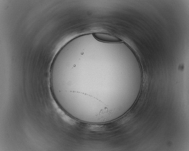 X0000111651439200907311306
