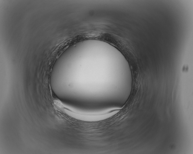 X0000111651441200907311305