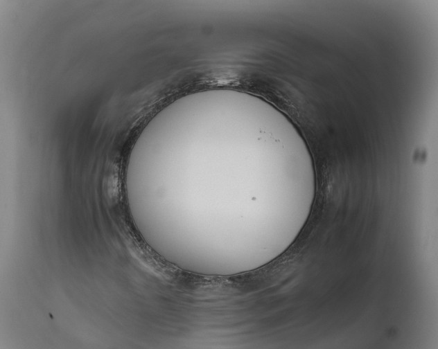 X0000111651442200907311305