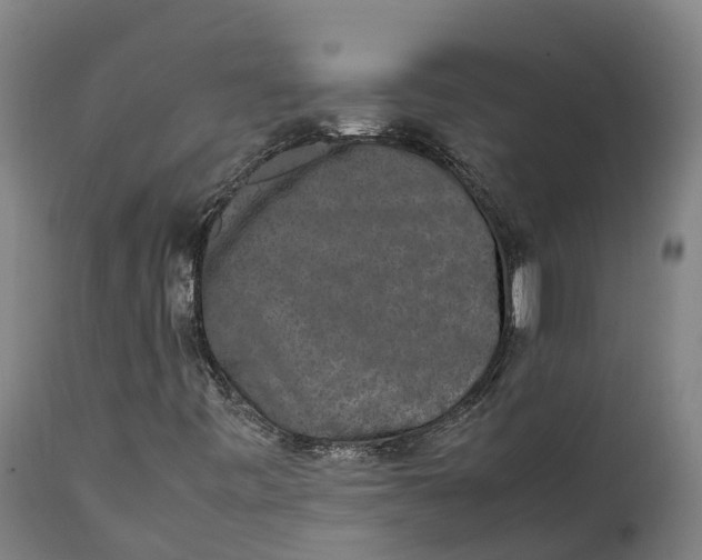 X0000111651443200907311305