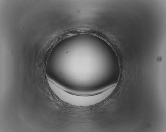 X0000111651445200907311305