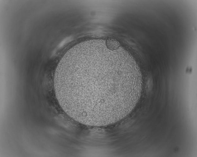 X0000111651446200907311305