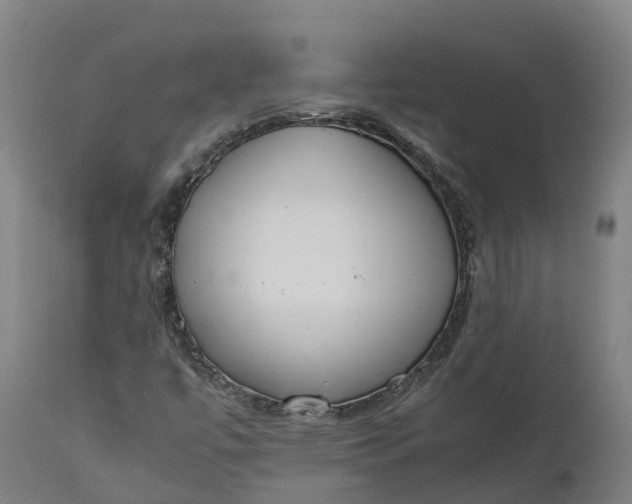 X0000111651447200907311305