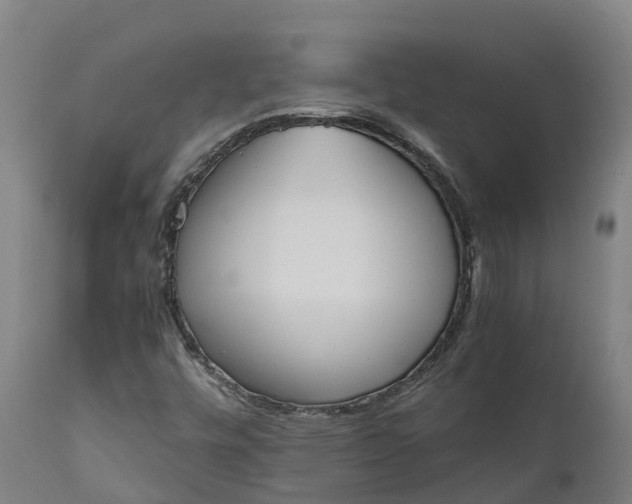 X0000111651448200907311305