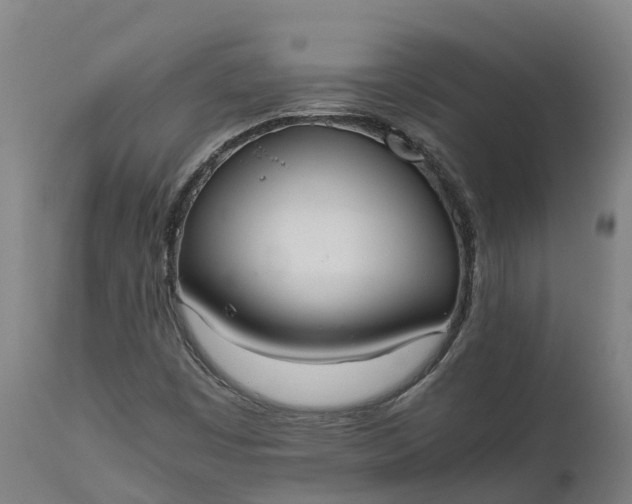 X0000111651449200907311305