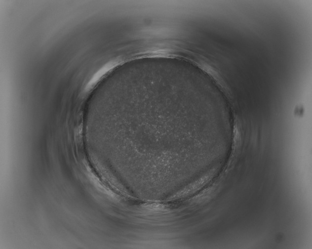 X0000111651450200907311305