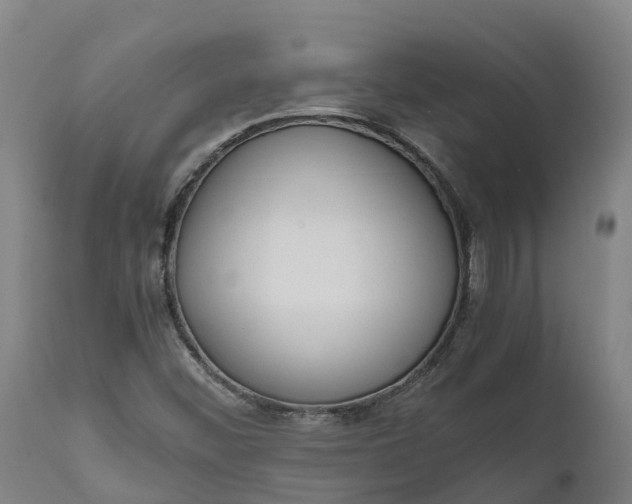 X0000111651452200907311305