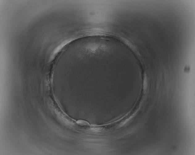 X0000111651453200907311305