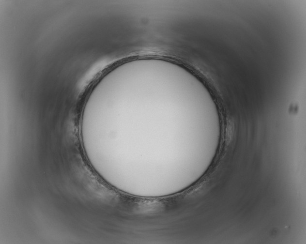 X0000111651454200907311305
