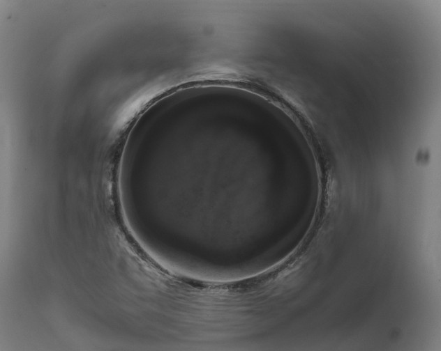 X0000111651455200907311305