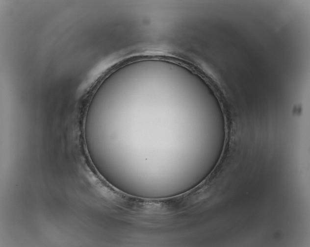 X0000111651456200907311305