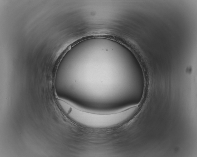 X0000111651457200907311305