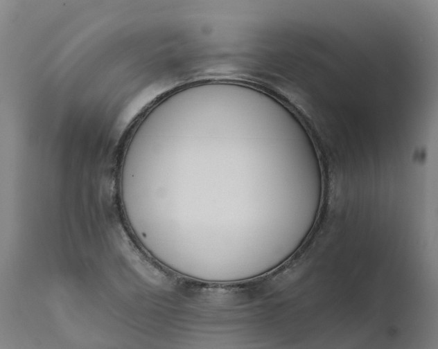 X0000111651458200907311305