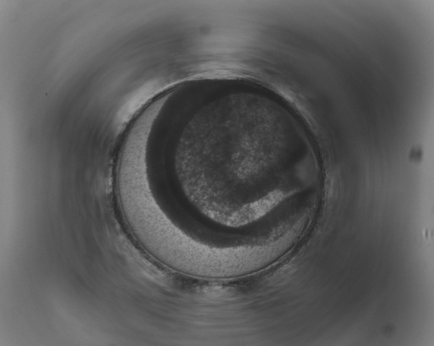 X0000111651459200907311305