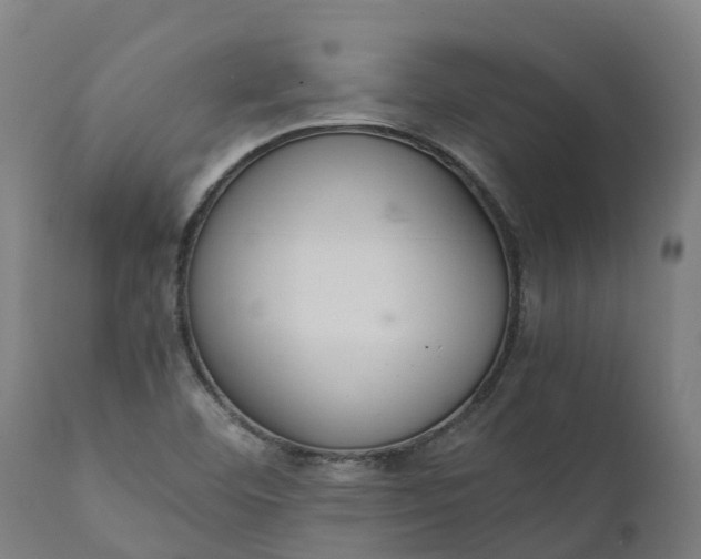 X0000111651460200907311305