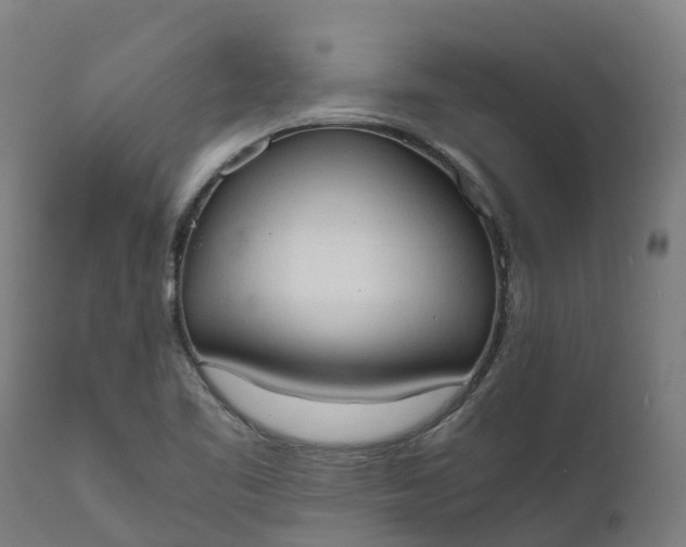 X0000111651461200907311305