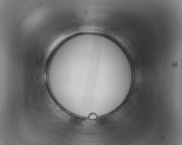 X0000111651462200907311305