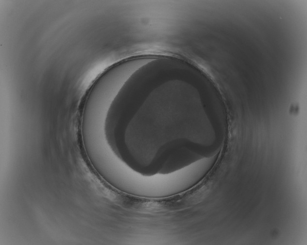 X0000111651463200907311305