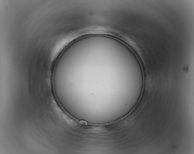 X0000111651464200907311305