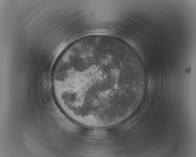 X0000111651466200907311305