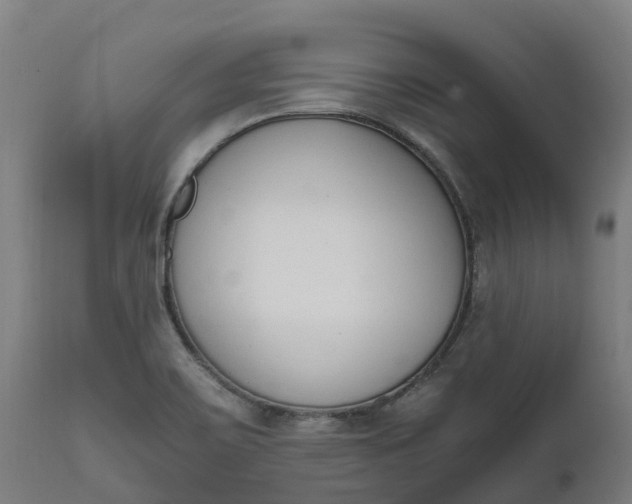 X0000111651467200907311305