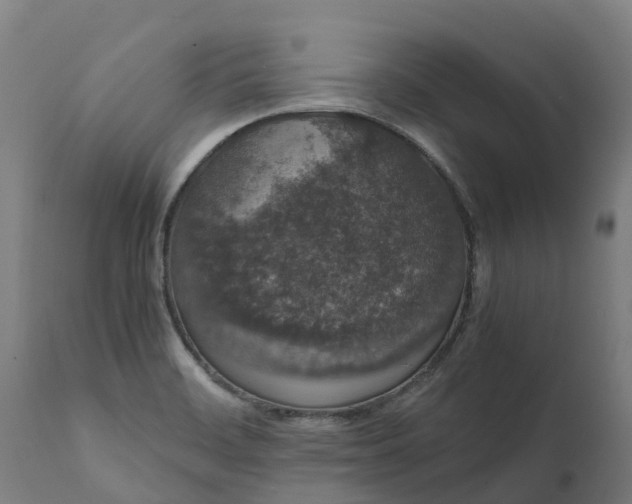 X0000111651468200907311305