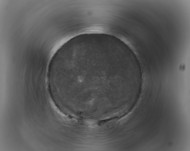 X0000111651469200907311305