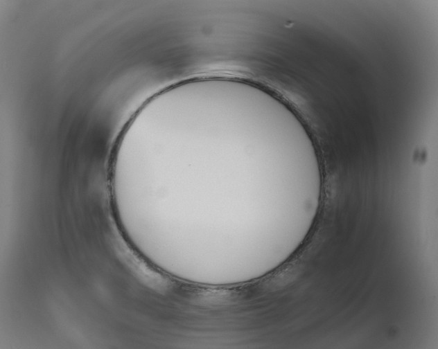 X0000111651470200907311305