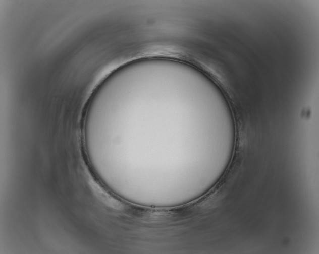 X0000111651471200907311305