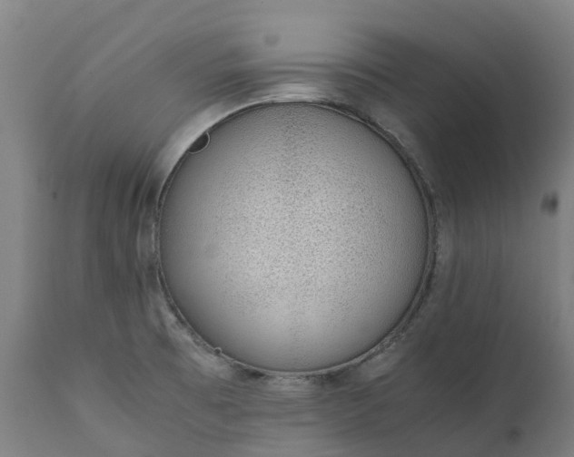 X0000111651473200907311305