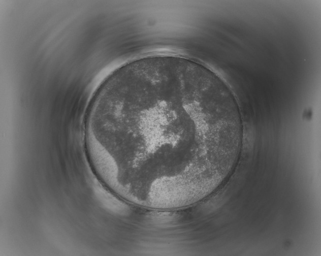 X0000111651474200907311305