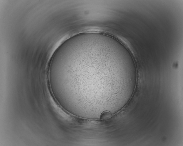 X0000111651475200907311305