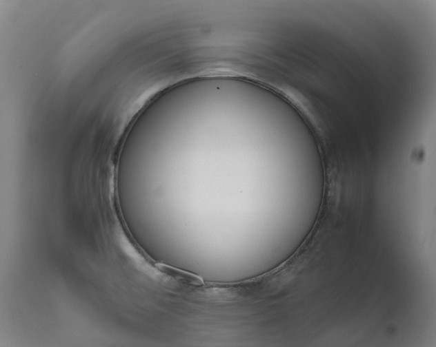 X0000111651476200907311305