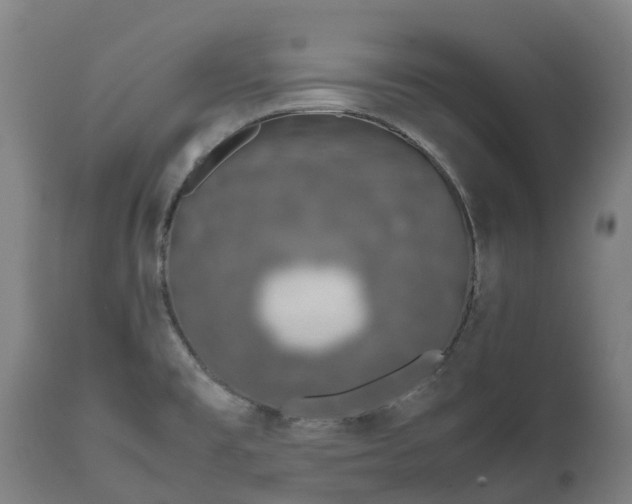 X0000111651477200907311305