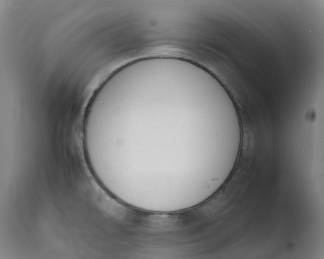 X0000111651478200907311305