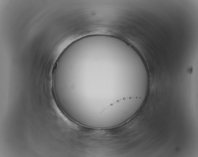 X0000111651479200907311305