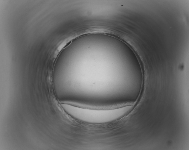 X0000111651481200907311305