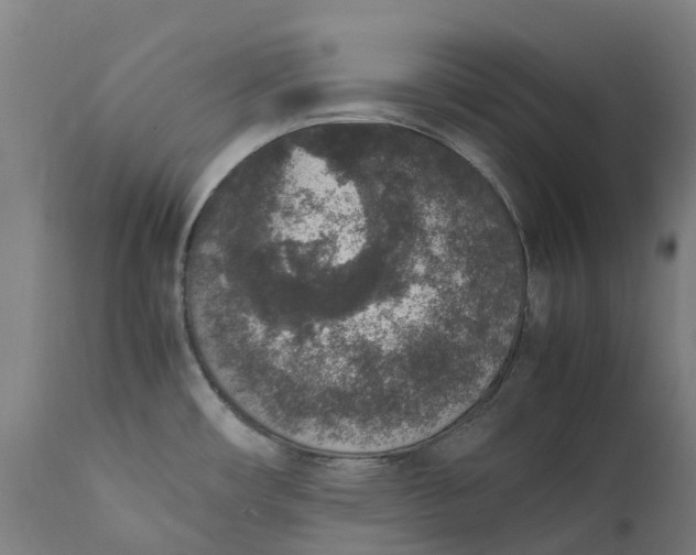 X0000111651482200907311305