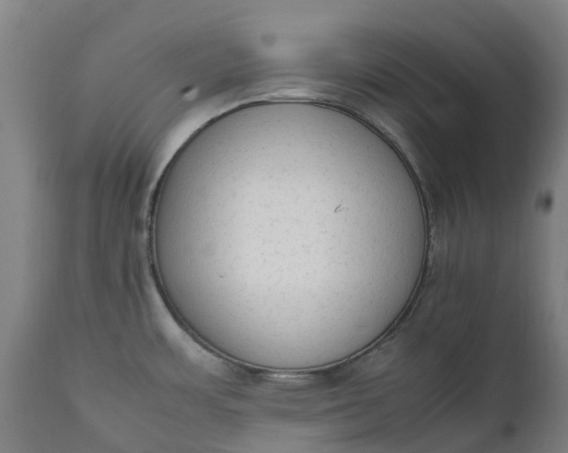 X0000111651483200907311305