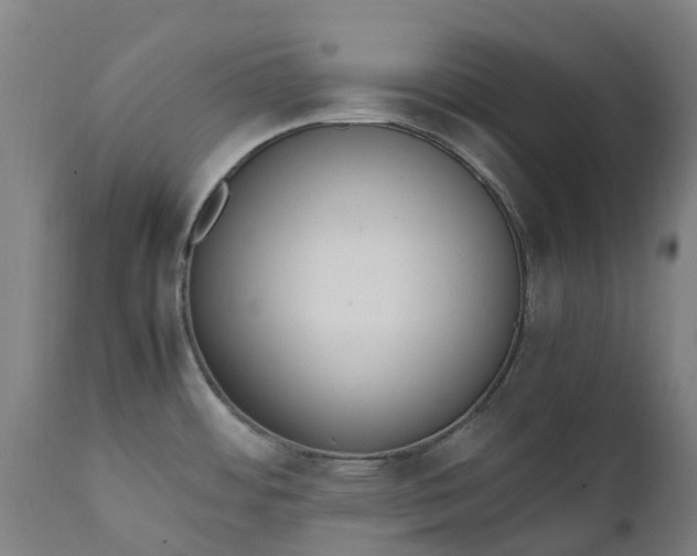 X0000111651484200907311305